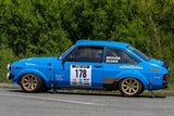 15x9 8 Spoke Escort Group 4 Gold ET-12