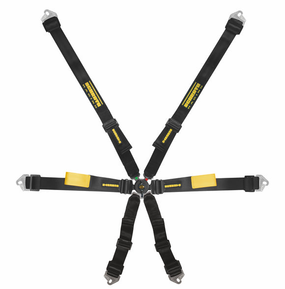 Schroth Enduro 2x2 6 point harness