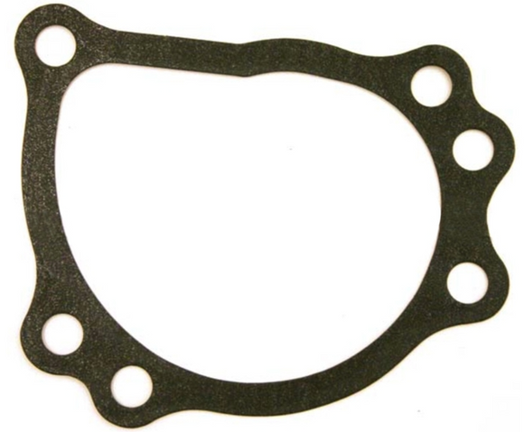 Genuine Water Pump Gasket