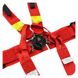 Beltenick FIA Black 6 Point Formula PD Camlock Belt FIA 2026 - 2031 plus 5 years Q/R Adjusters