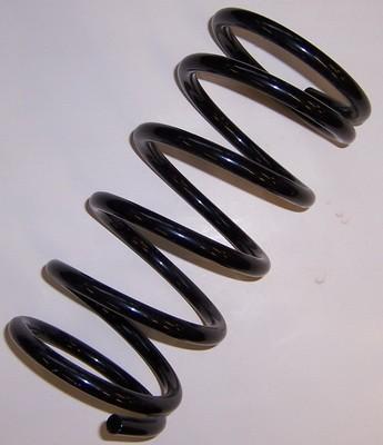 Front Spring 4 Inch GRP4