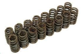 Duratech Cosworth valve Springs